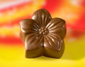 Plain Chocolate Daisy